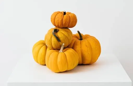 croquetas de calabaza queso champinones croquetas