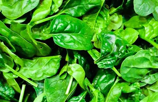 croquetas de espinacas croquetas