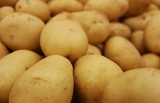 croquetas de patata croquetas