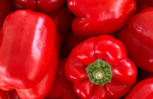 croquetas de pimientos de piquillo croquetas